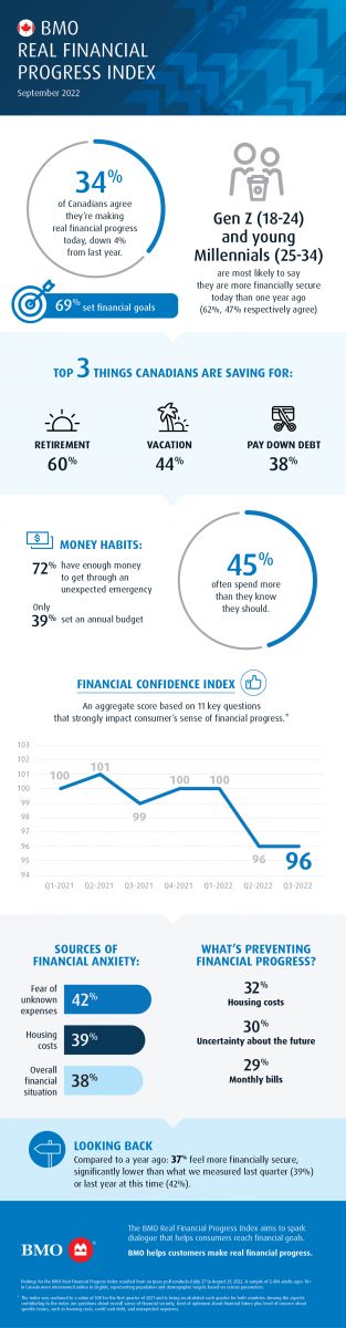 bmo canadian index fund